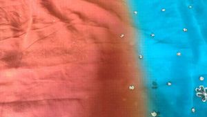 Beautiful Ombre Saree with Embellishments