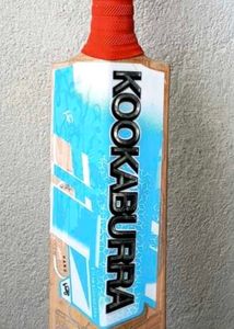 cricket bat