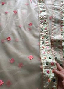 Elegant Pastel Lehenga Choli