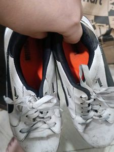 Puma White Casual Shoes