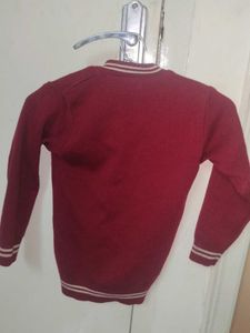 Maroon V-Neck Sweater