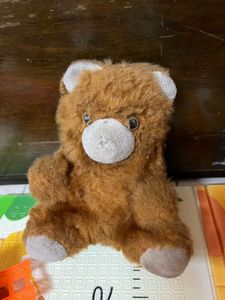 Brown Teddy Bear Plush Toy