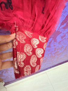 Red Embroidered Patiyala Pyjama