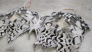 Unique Butterfly Wing Bra