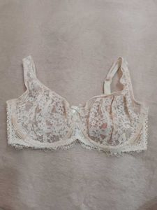 Delicate Lace Bra 38F