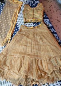 Beautiful Net Lehenga