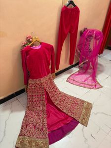 Elegant Pink Velvet Embroidered Suit