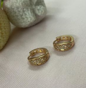 Elegant Hoop Earrings
