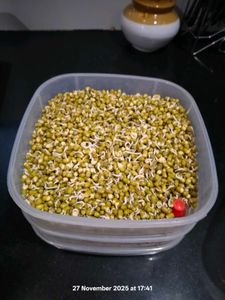 Sprout Maker