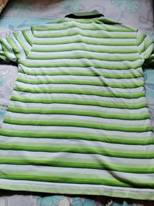 Striped Polo Shirt