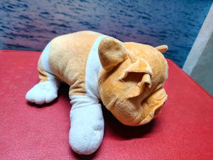 Cute Pig Plush Toy