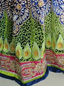 Embroidered Lehenga Saree Set