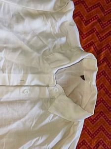 Cream Palm Tree Embroidered Button-Up Shirt