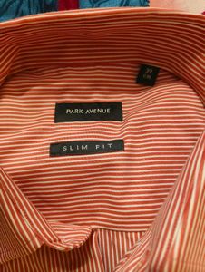 Park Avenue Men's Striped Formal Shirt