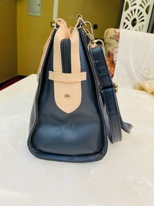 Baggit Handbag