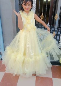 Yellow Net Gown