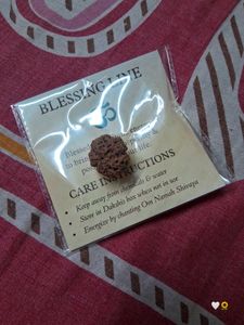 Blessing Line Rudraksha