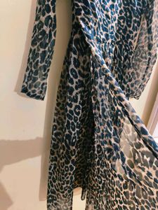 Animal Print Long Sleeve Dress