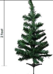 Cristmas Tree Without Decoration