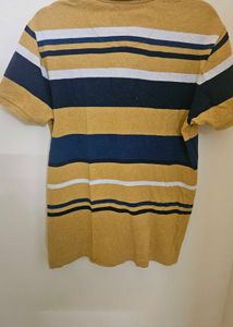 Striped USPA Polo Shirt