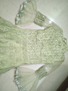 Elegant Ethnic Gown