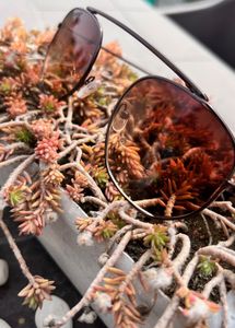 Stylish Aviator Sunglasses