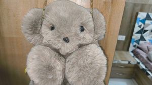 💋Cute teddy bear bag 🧸