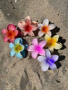 ~•°Pinterest Flower Hair Claw(2pcs)