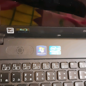 Sony Vaio laptop display not getting switched on