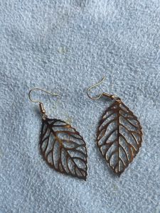 Stylish earrings