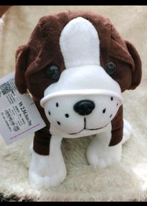 One Cute Dog
