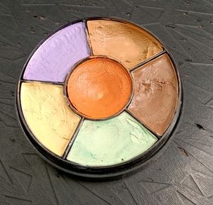 INSIGHT Pro Concealer Pallette ❤️