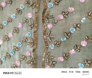 Elegant Pastel Green Embroidered Saree