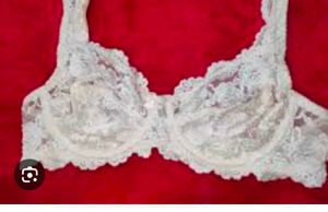 Very Sexy Net And Beautiful Penty