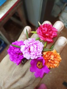 Freshly Harvested White Adenium Seeds