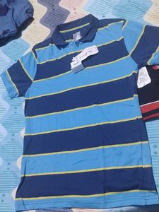 Striped Polo Shirt