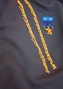 Artificial Anklet
