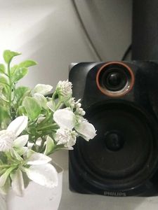 Philips 2.1 Multimedia Speaker System