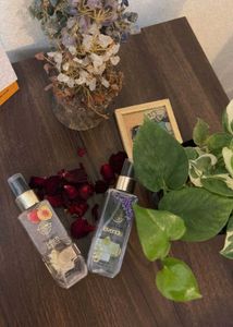 Price Drop Alert💥Bodycupid Mist