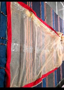 Elegant Golden Net Saree