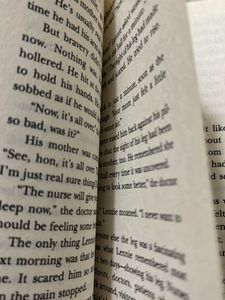 The TV Kid by Betsy Byars