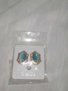 Elegant Blue Stone Earrings