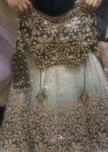 Elegant Embroidered Lehenga Choli Set