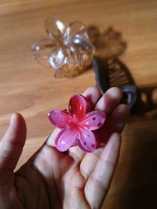 claw clips