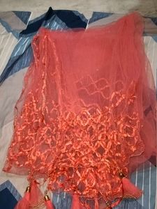 Orange Net Embellished Lehenga Choli