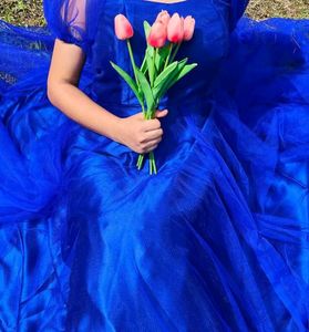 Royal Blue Bow Hair Clip