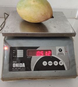 Selling a used ONIDA Digital Electronic Weighing S