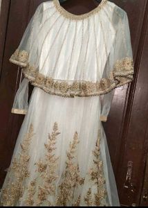 Elegant beigee &amp; Gold Embroidered gown