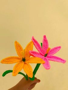 Handmade Crochet Flower Set