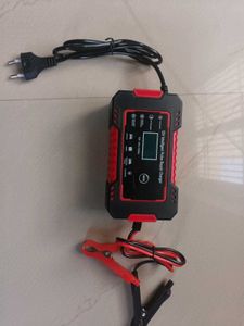 12V Intelligent Pulse Repair Charger